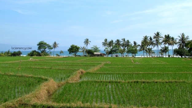 Enaknya jadi tim sweaper: bentar-bentar bisa berhenti buat foto tanpa mengganggu konvoi. :D