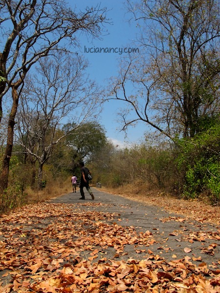 See you again Africa van Java! We really had a good time!