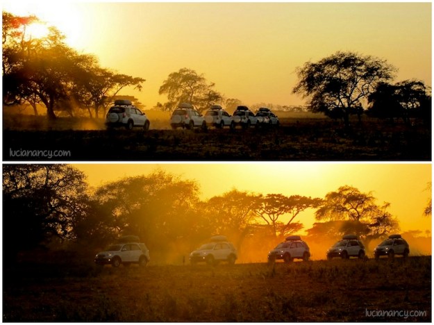 Beraksi di Savana Bekol.